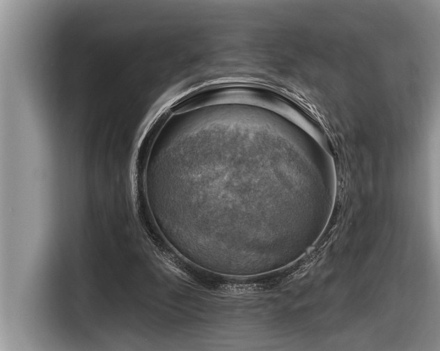 X0000116550296200912101419