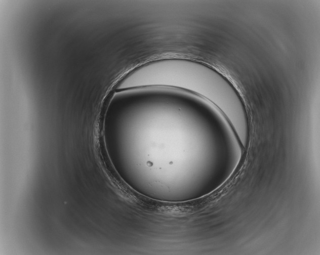 X0000116550297200912101419