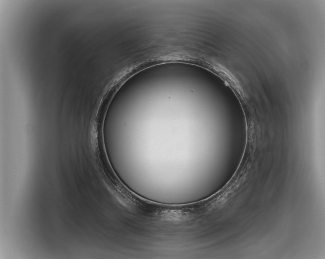 X0000116550298200912101419