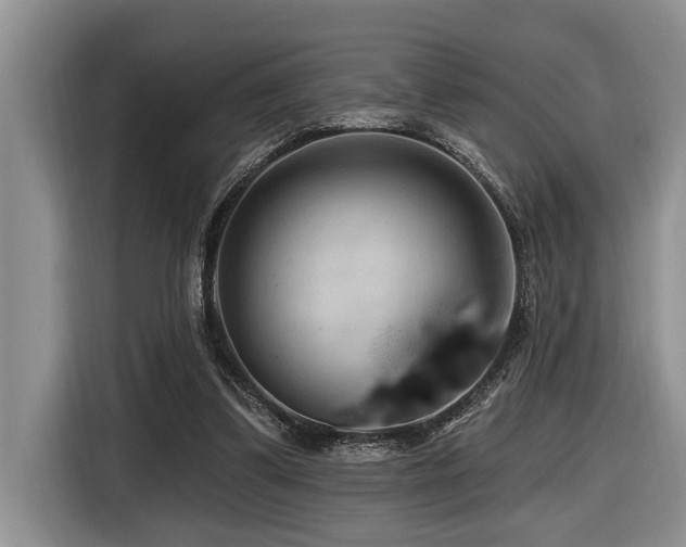 X0000116550299200912101419