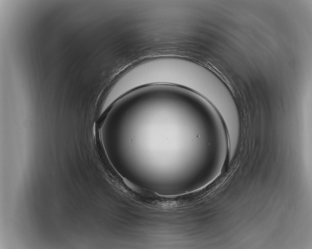 X0000116550301200912101419