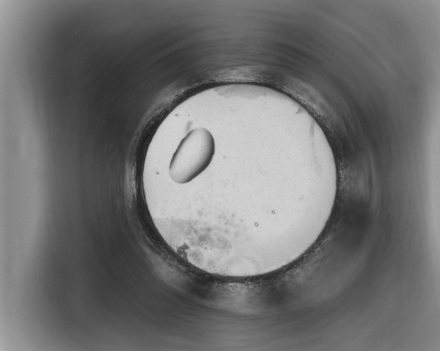 X0000116550302200912101419