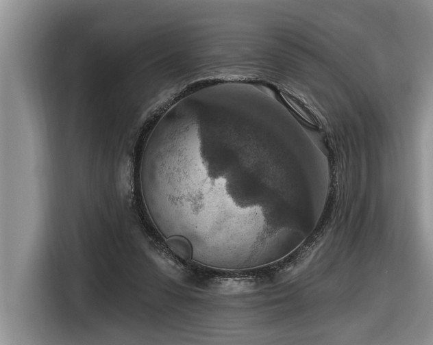 X0000116550303200912101419