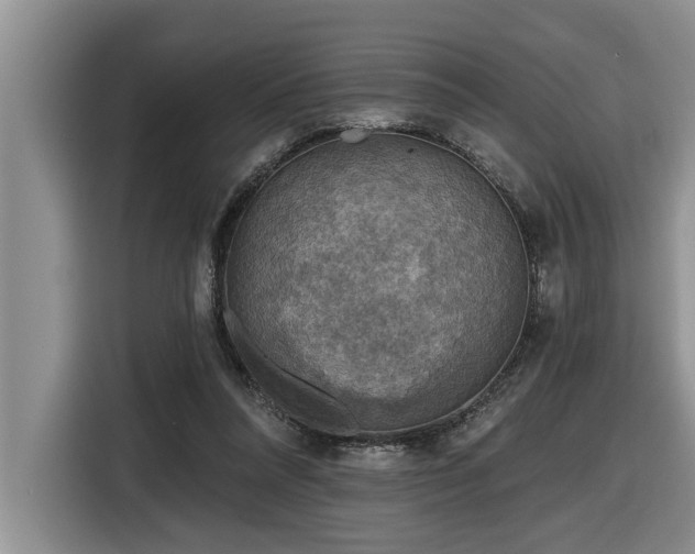 X0000116550304200912101419