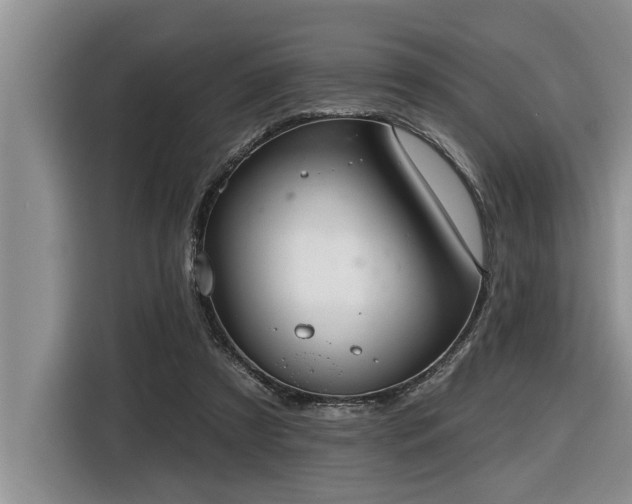 X0000116550305200912101419