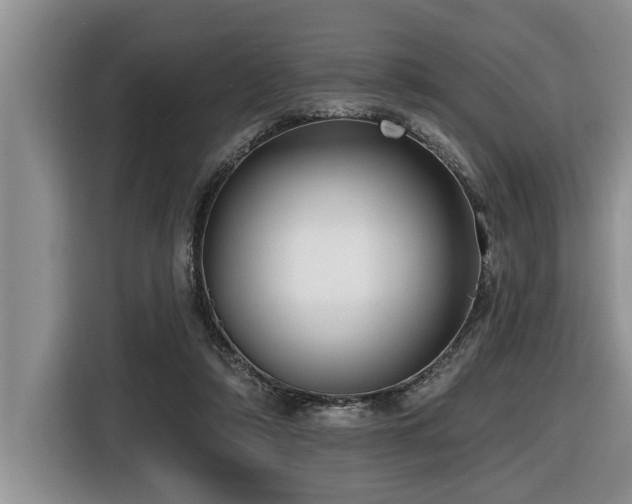 X0000116550306200912101419