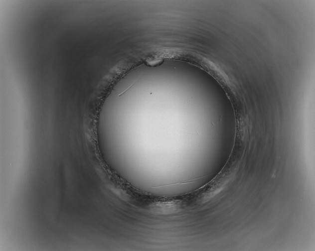 X0000116550307200912101419