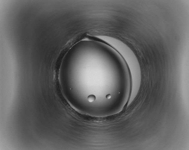 X0000116550308200912101419