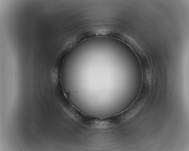 X0000116550311200912101419