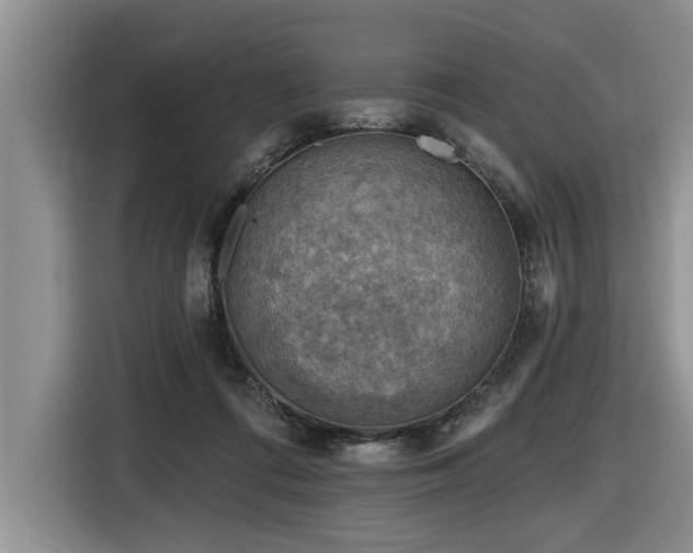 X0000116550312200912101419