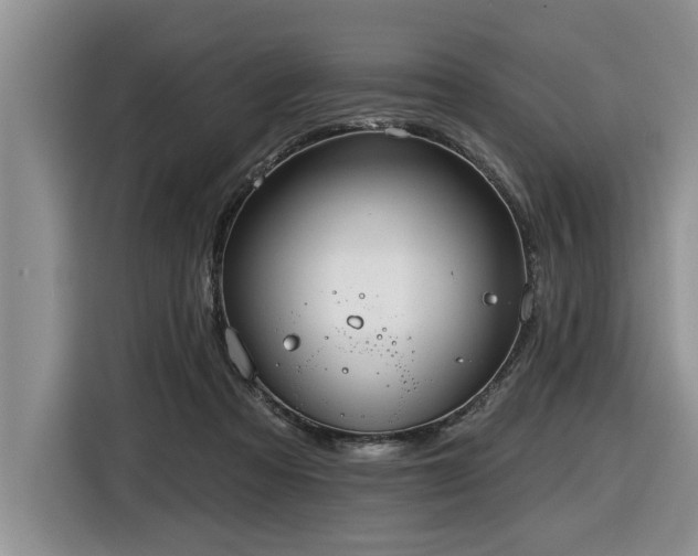 X0000116550313200912101419