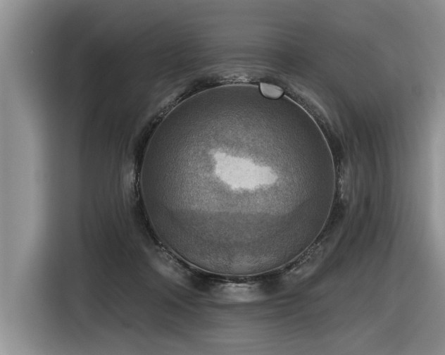 X0000116550314200912101419