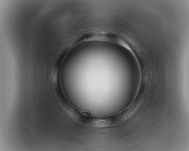 X0000116550315200912101419