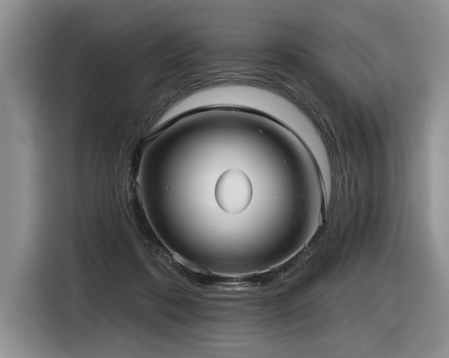 X0000116550316200912101419