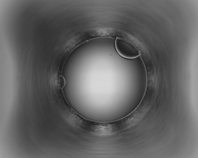 X0000116550317200912101419