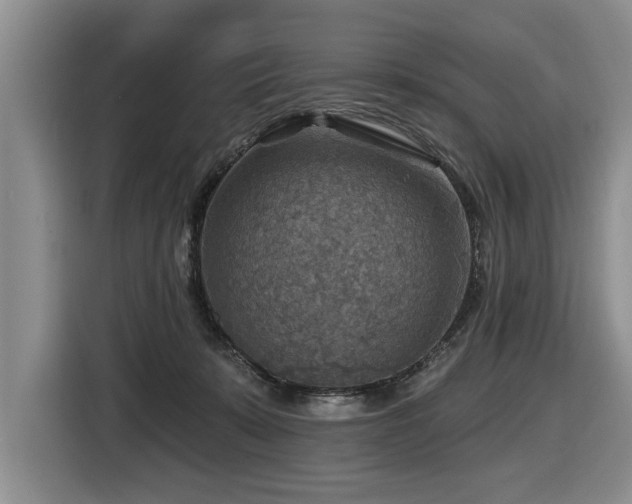 X0000116550319200912101419