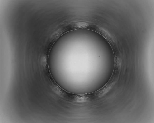 X0000116550321200912101419