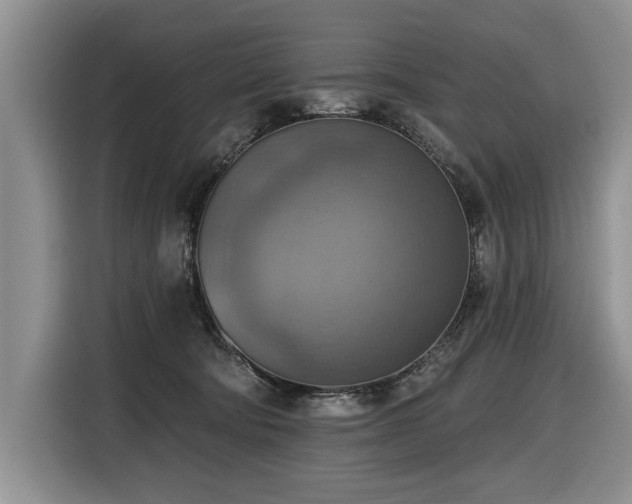 X0000116550322200912101419