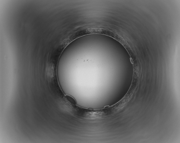 X0000116550323200912101419