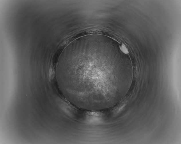 X0000116550324200912101419