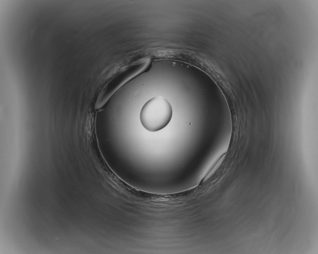 X0000116550325200912101419