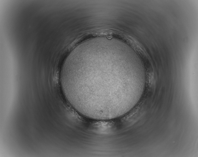 X0000116550326200912101419