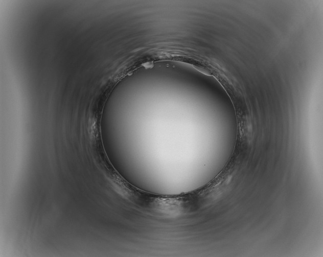 X0000116550327200912101419