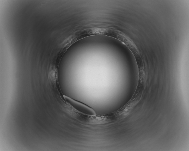 X0000116550329200912101419