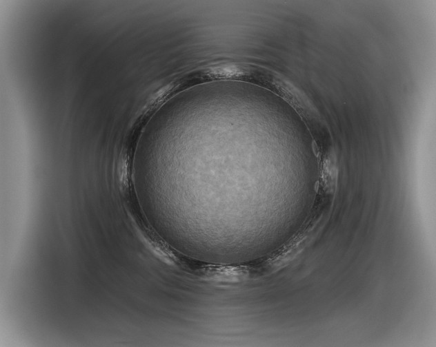 X0000116550330200912101419