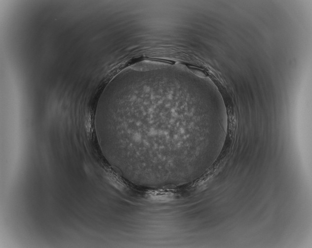 X0000116550331200912101419