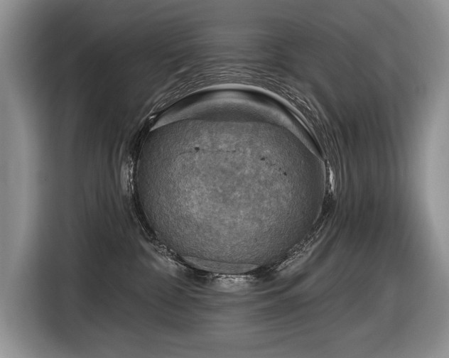 X0000116550332200912101419