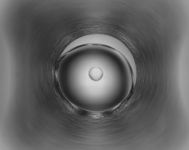 X0000116550333200912101419