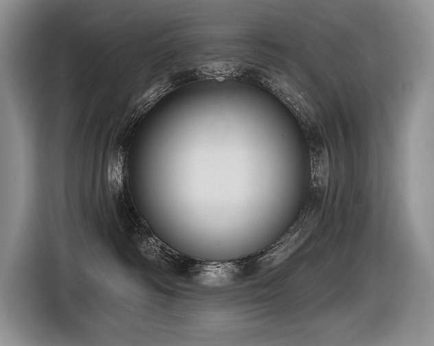 X0000116550334200912101419