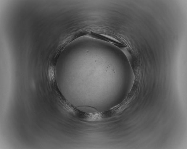 X0000116550335200912101419