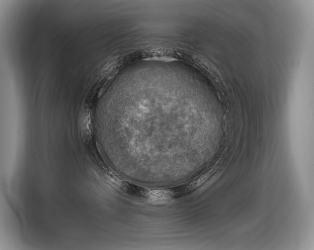 X0000116550336200912101419