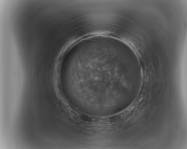 X0000116550337200912101418