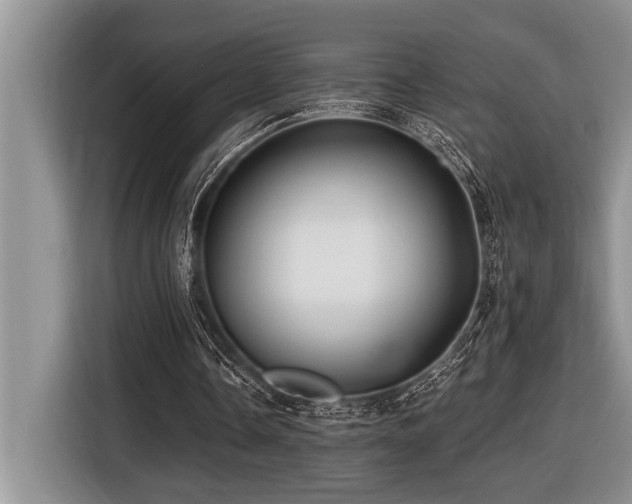 X0000116550338200912101418