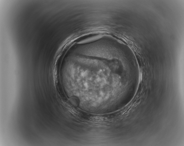 X0000116550339200912101418