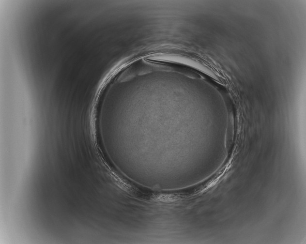 X0000116550341200912101418