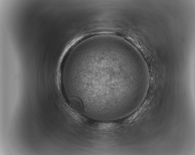 X0000116550342200912101418