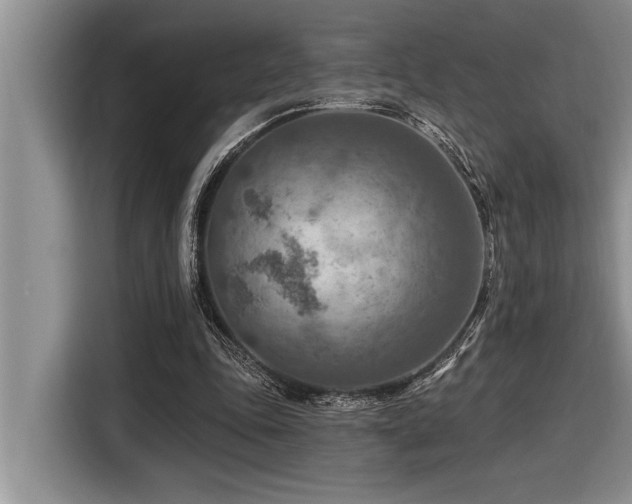 X0000116550343200912101418