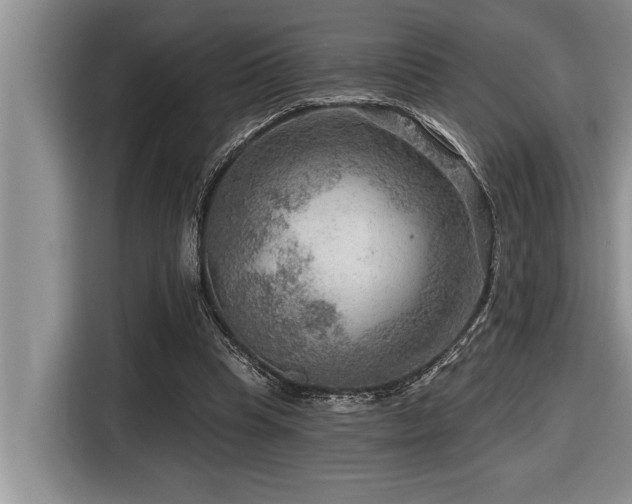 X0000116550345200912101418