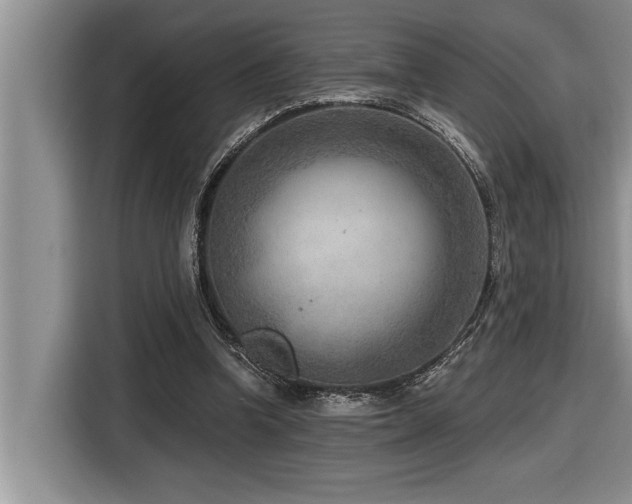 X0000116550346200912101418