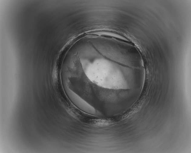 X0000116550347200912101418