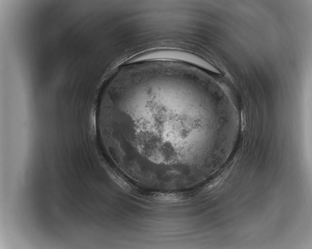 X0000116550349200912101418