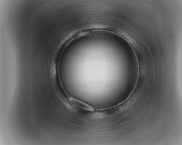 X0000116550350200912101418