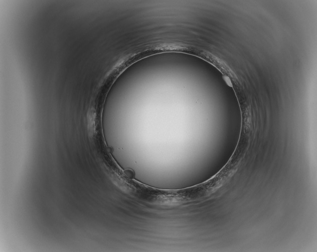 X0000116550351200912101418