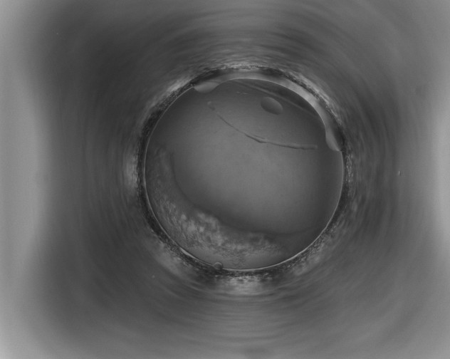 X0000116550353200912101418