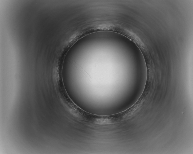 X0000116550354200912101418