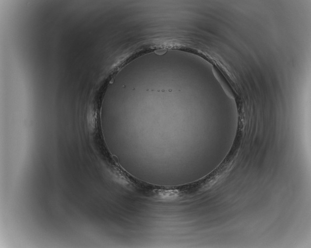 X0000116550355200912101418